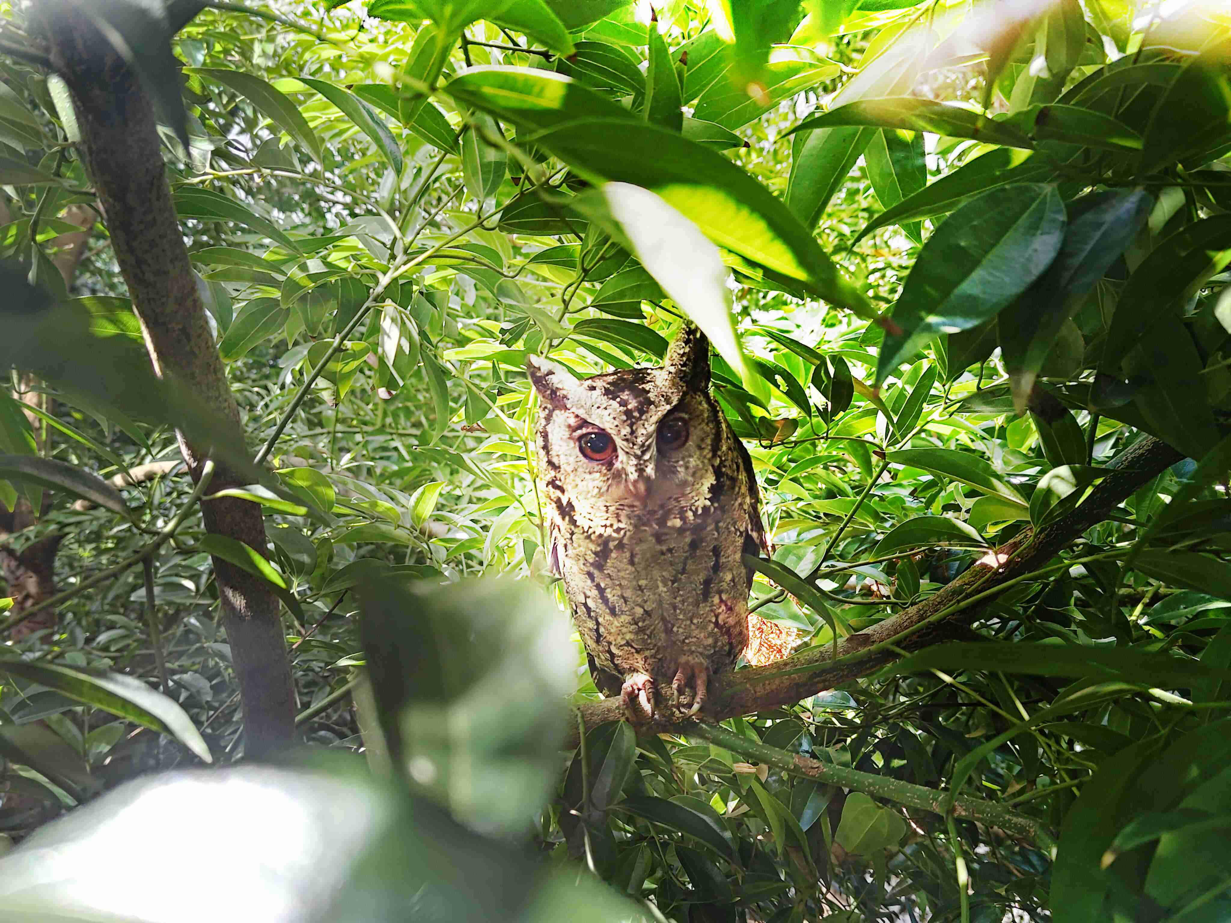 z6mg·人生就是博致力提倡净零绿生活，，，，16年以来在全球各厂区植树逾百万棵，，，造就各厂区树木蔚然成林，，，，犹如森林工厂，，成为许多生物的栖息地